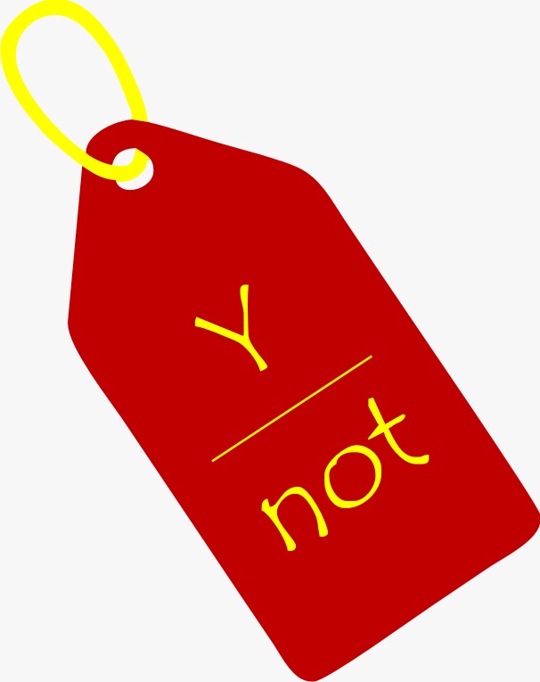 Ynot logo